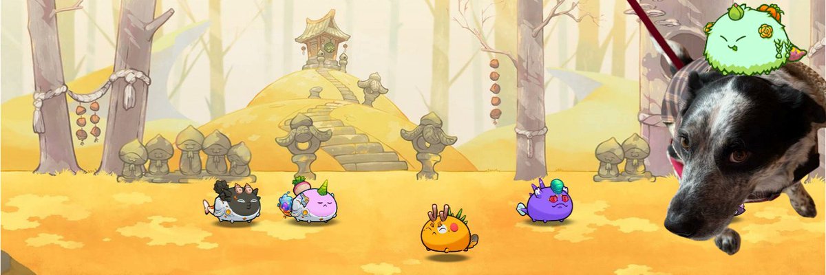 Unknown369 tweet media