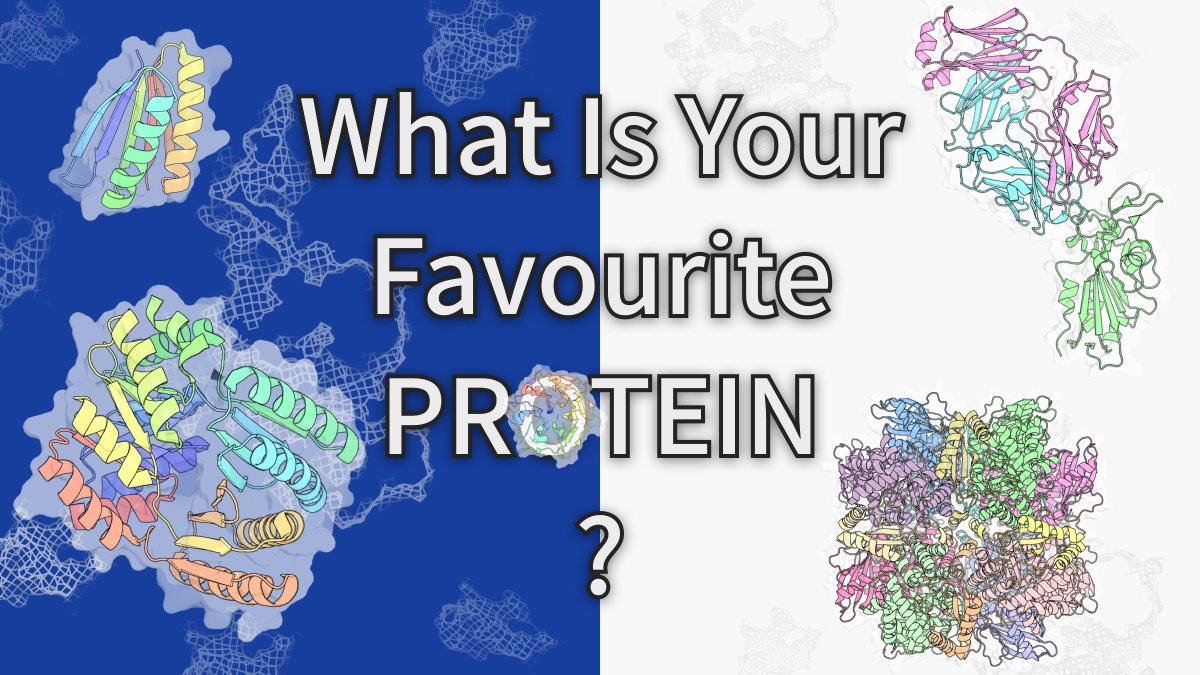#Protein People 🧬✨:  What is your favourite protein and what makes it so special to you? Bonus points for designed proteins! 

I’ve got an exciting project brewing that I can’t wait to reveal soon! Drop your answers below and stay tuned 👀🎉
