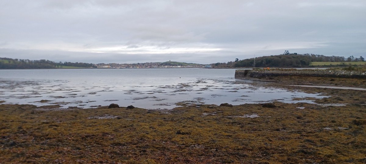PatrickJMB's tweet photo. #Castleward scenes
Loughshore, bendy branches, downed branches, boat house and mansion on the hill. https://t.co/tlRDBzqwdA