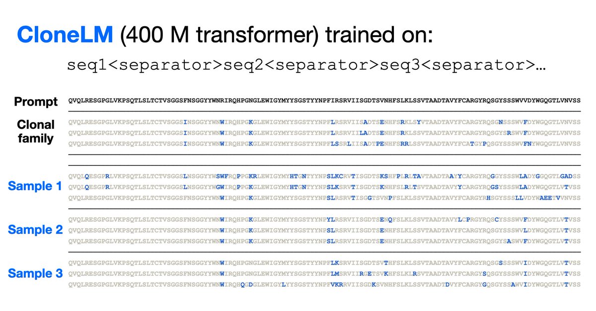 Alan Amin (@alannawzadamin) on Twitter photo New model trained on new dataset of nearly a million evolving antibody families at AIDrugX workshop Sunday at 4:20 pm (#76) #Neurips! Collab between <a href="/andrewgwils/">Andrew Gordon Wilson</a> and <a href="/BigHatBio/">BigHat Biosciences</a>. Stay tuned for full thread on how we used the model to optimize antibodies in the lab in coming days! New model trained on new dataset of nearly a million evolving antibody families at AIDrugX workshop Sunday at 4:20 pm (#76) #Neurips! Collab between <a href="/andrewgwils/">Andrew Gordon Wilson</a> and <a href="/BigHatBio/">BigHat Biosciences</a>. Stay tuned for full thread on how we used the model to optimize antibodies in the lab in coming days!