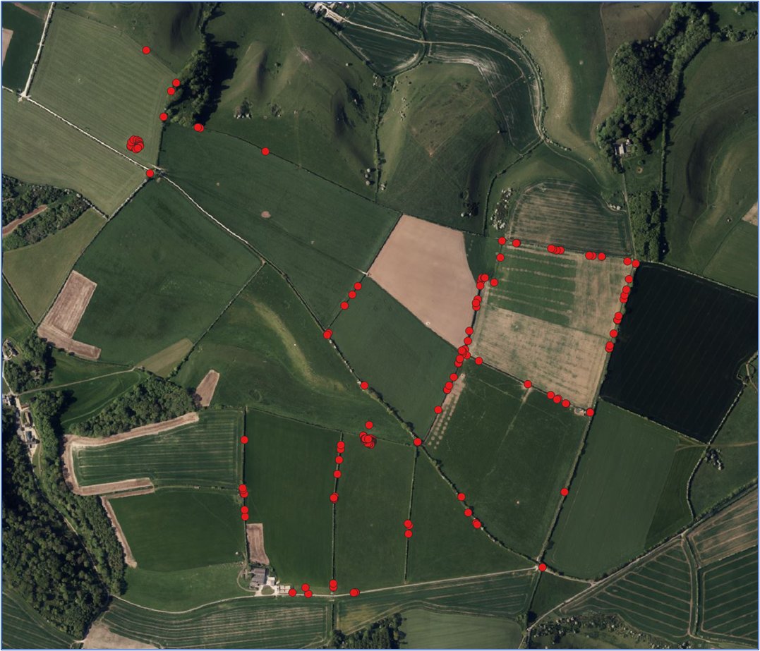 PastParticipate tweet media