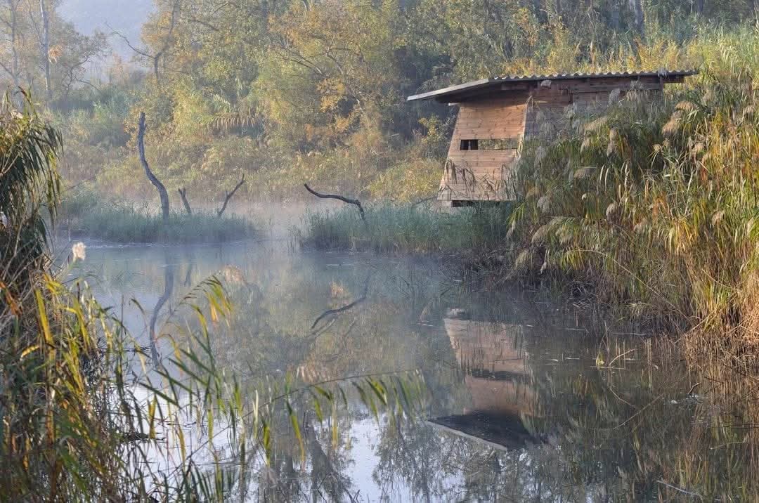 terresebretur's tweet photo. ❄️ La @reservanatsebes, també quan arriba el fred, és l'indret perfecte per connectar amb la natura i practicar el 'birdwatching' 😍!

📷 manuelbarreroguerrero

#ReservaNaturaldeSebes #Flix #RiberadEbre #TerresDelEbre https://t.co/Yrrn2KkvZB