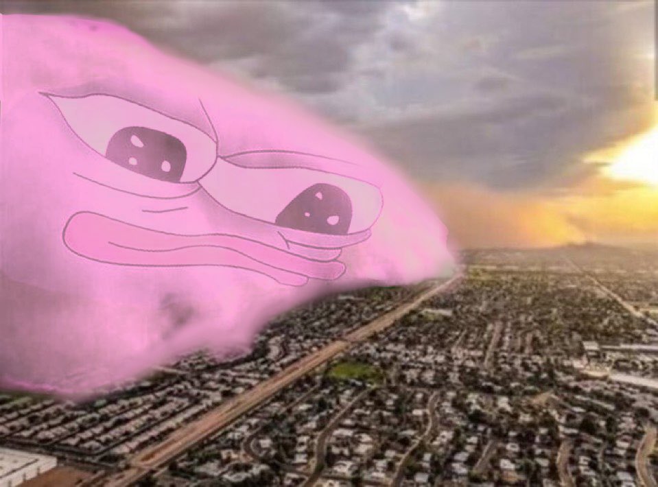 PorkCoinHQ's tweet photo. @ApusCoin @lukebelmar Your timeline $PORK'D https://t.co/DOvWgYVl9W