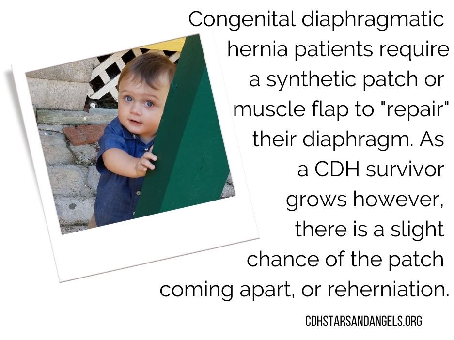 CDH Stars and Angels tweet media