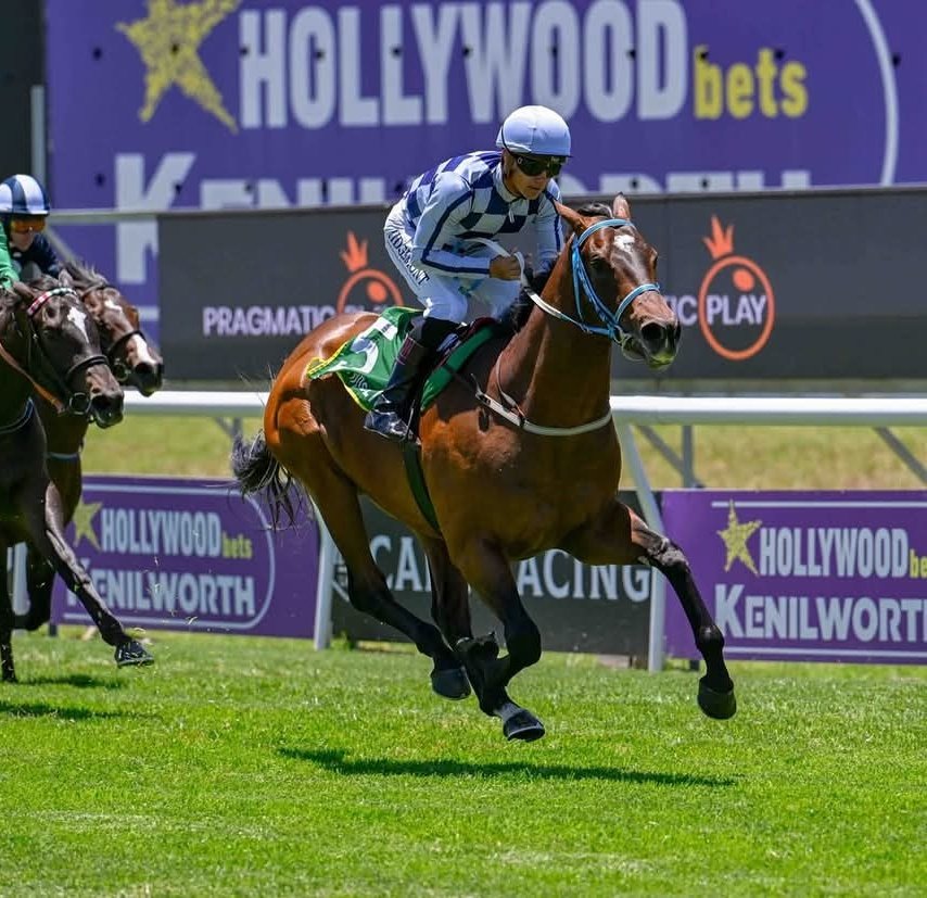 Parental Guidance wins first time out. He is a promising youngster. With a very strong pedigree.
Born and Raised @ Winterbach Stud . Well done to the connections. And to the breeder  Mr L M F Wernars.
Owner : Mr F M Carruthers
Trainer : Paul Reeves
Jockey : Richard Fourie