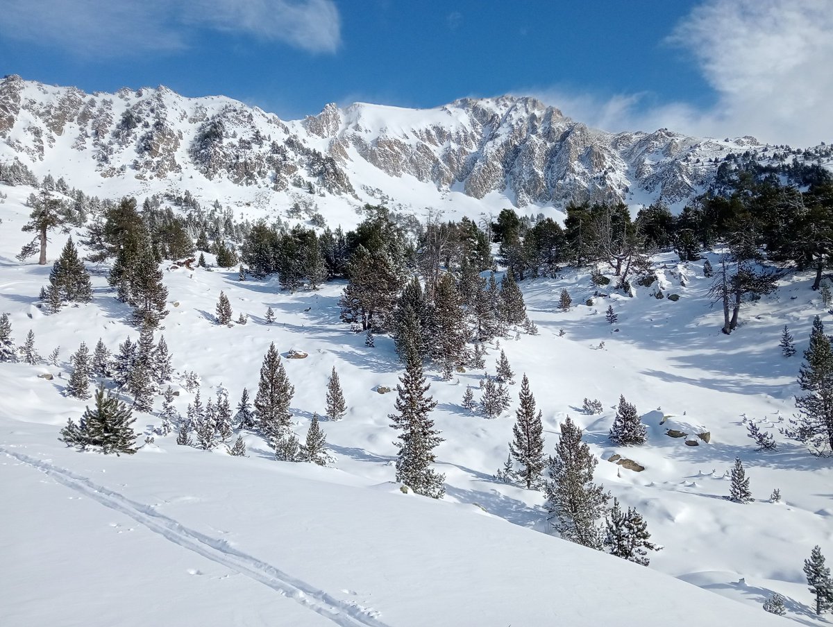Refugi i estany d'Airoto aquest matí. Menys neu de l'esperada, en ser una nevada seca ha perdut força gruix a l'aposentar-se. #VallsdÀneu
#PallarsSobirà #ElTemps3Cat <a href="/visitpallars/">Turisme Pallars Sobirà</a> <a href="/MeteoPiri/">MeteoPirineus</a> <a href="/P4Estacions/">Projecte 4 Estacions</a>