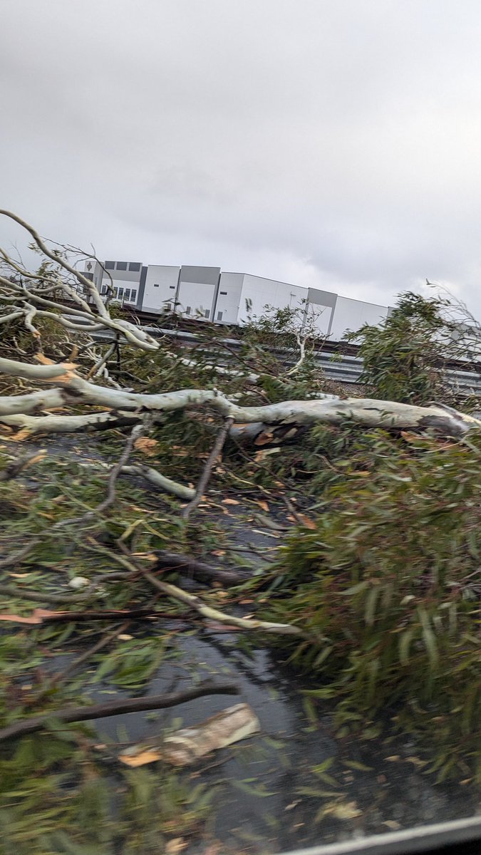 bfgNW's tweet photo. Southbound highway 1 in Castroville
@CaltransD5 @NWSBayArea 
#cawx https://t.co/4X0wwUrZMJ