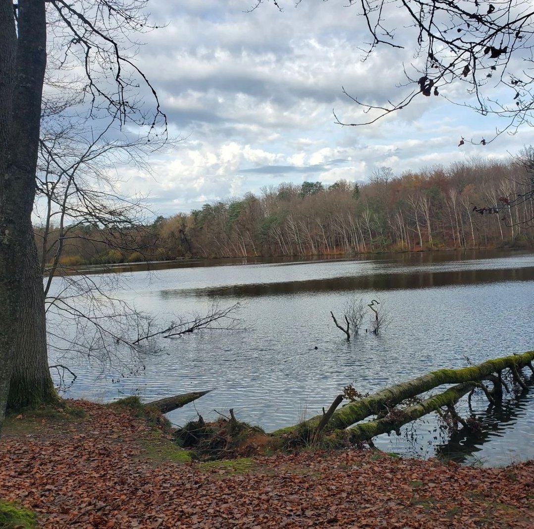 -

مساءً رقيقًا برفقة غيوُم ديسمبر ونسماته الباردة.
               مساءات ديسمبر الجميل ☁️❄️✨