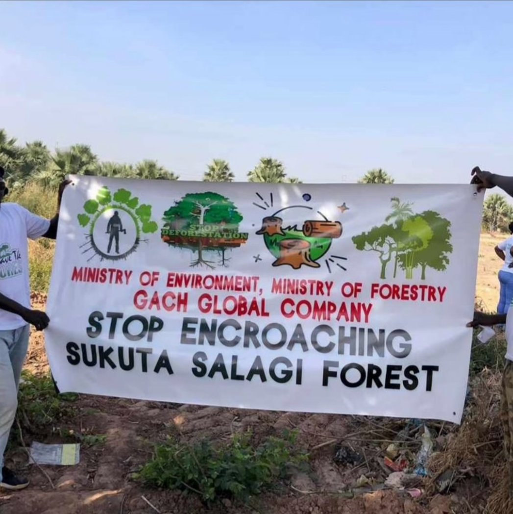 EbrimaC09053674's tweet photo. Honor the Banjul Declaration and protect our remaining limited flora and fauna.
#SaveSalajiForest
#ProtectBiodiversity
#ResponsibleRepresentation https://t.co/vkTui51tZs