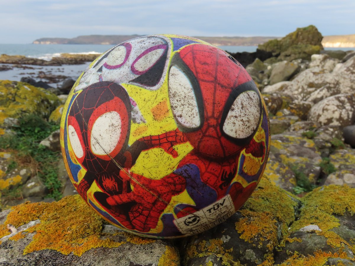 Rathlin Stickybeak tweet media