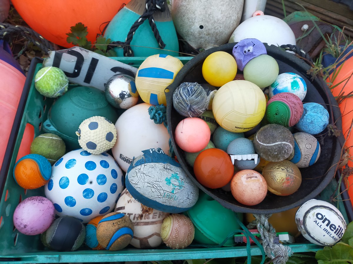 Rathlin Stickybeak tweet media