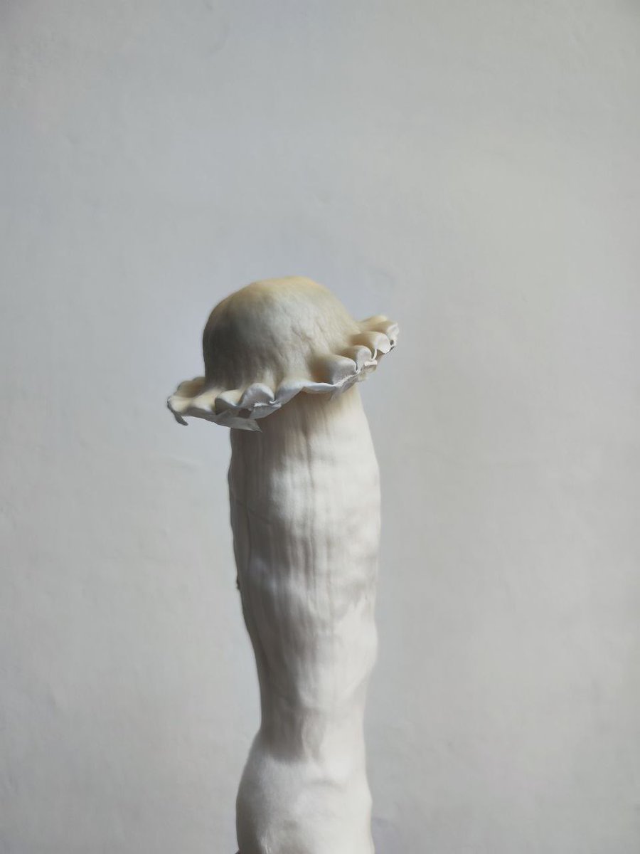 Pregunta por nuestras variedades de genéticas de alta calidad y potencia.

Último día de nuestra primera fase de promos navideñas 🎄

+Info: wa.link/irsxt2