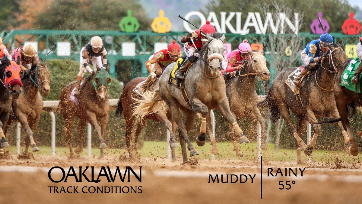 OaklawnRacing's tweet photo. View the Oaklawn Track Conditions for Saturday, December 14th 🌧️ #Oaklawn #OaklawnRacing #TrackConditions #MuddyTrack https://t.co/nYLGpTwDyo