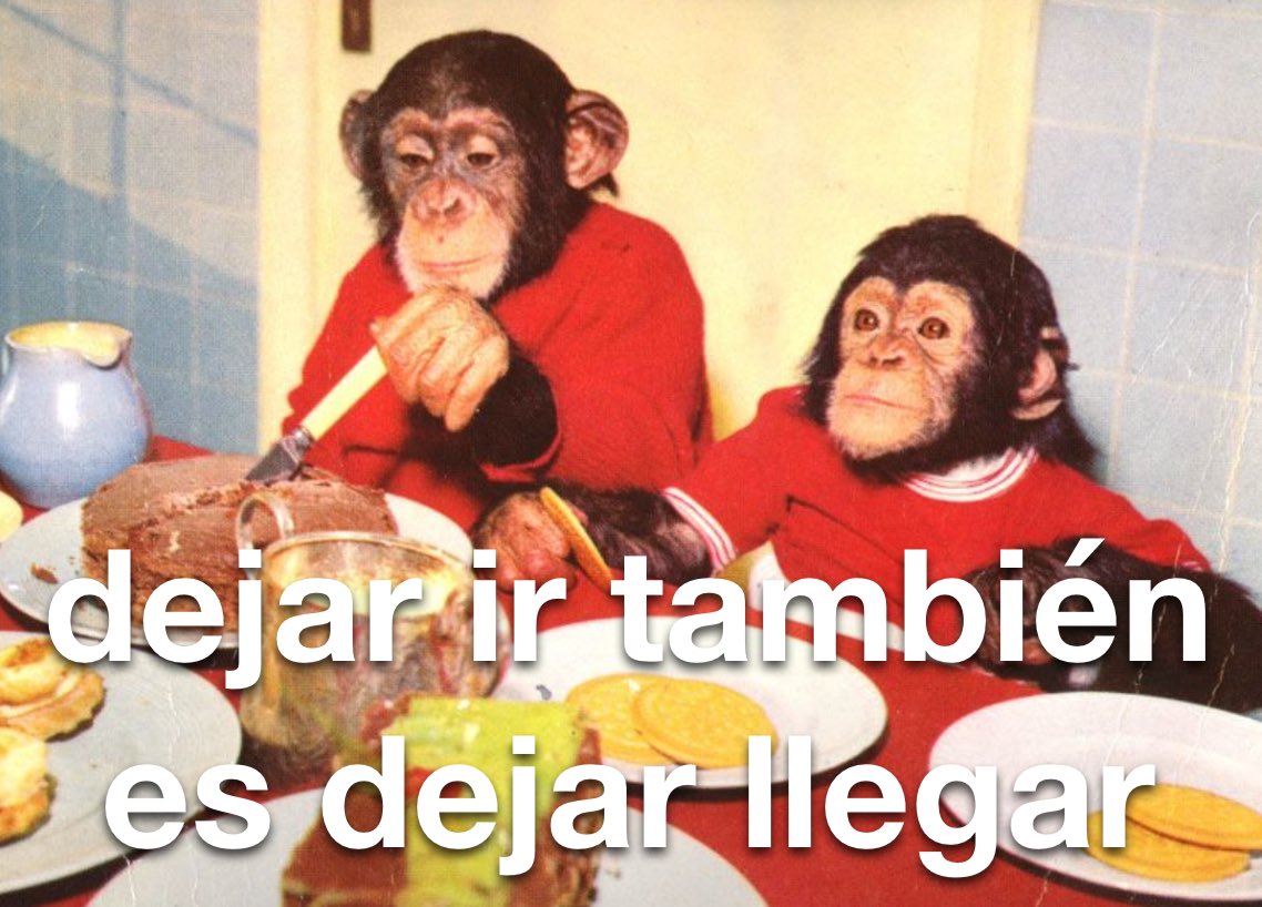 conoloracigarro's tweet photo. https://t.co/th8sYrYZ7p
