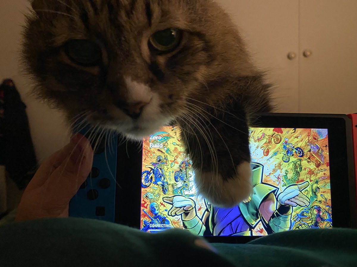 Bro I’m trying to play fortnite!