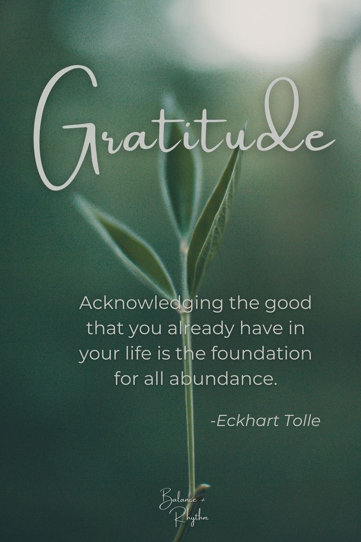 POSITIVITY (@positivitysaid) on Twitter photo 