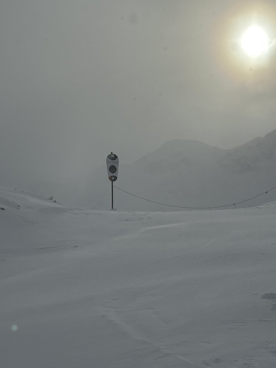 IgnacioCastillon tweet media