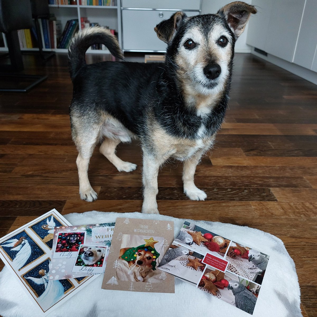 Ich habe deine Karte erhalten Andrea