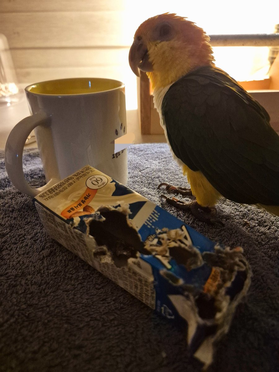 아아 그는 좋은 아몬드 브리즈였습니다....