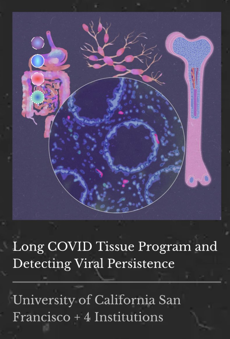 Excellent talk on #SARS-CoV-2 persistence and #LongCovid by Dr. Michael Peluso. 

We’re glad to be supporting the UCSF LIINC study + tissue program via which much of the research has been performed.

Learn more here: polybio.org/projects/liinc…