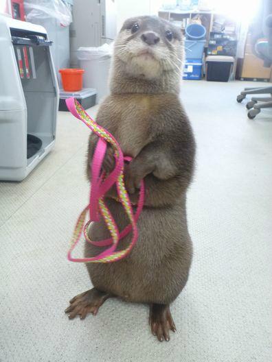 Happy Birthday <a href="/JHLillevik/">JH "Space Marine 🇳🇴 Keanu" Lillevik</a> . I hope you have lots of mead and happyness today!