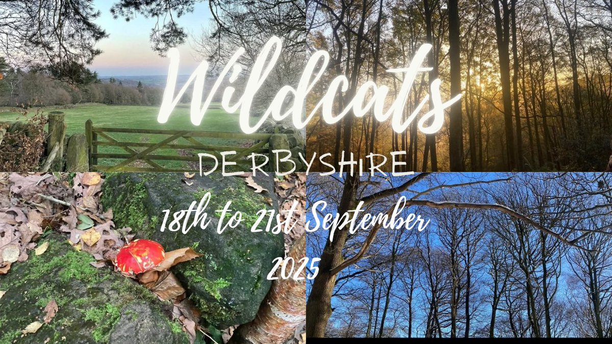 Amanda Copeland (@cfuturestherapy) on Twitter photo Join us for our next WildCATS event. Rewild yourself, rewild your practice,learn all about how to deliver therapy with nature as a co-therapist 💚🌳🌿 <a href="/Assoc_CAT/">ACAT</a> <a href="/CATScotland1/">CAT Scotland</a> <a href="/ICATA7/">ICATA</a> <a href="/YouthCAT1/">Youth CAT</a> <a href="/CafeCATalyse/">Café CATalyse</a> <a href="/CatalyseC/">Catalyse-CAT</a> <a href="/YPPsych/">Nick Barnes 💙</a> Join us for our next WildCATS event. Rewild yourself, rewild your practice,learn all about how to deliver therapy with nature as a co-therapist 💚🌳🌿 <a href="/Assoc_CAT/">ACAT</a> <a href="/CATScotland1/">CAT Scotland</a> <a href="/ICATA7/">ICATA</a> <a href="/YouthCAT1/">Youth CAT</a> <a href="/CafeCATalyse/">Café CATalyse</a> <a href="/CatalyseC/">Catalyse-CAT</a> <a href="/YPPsych/">Nick Barnes 💙</a>