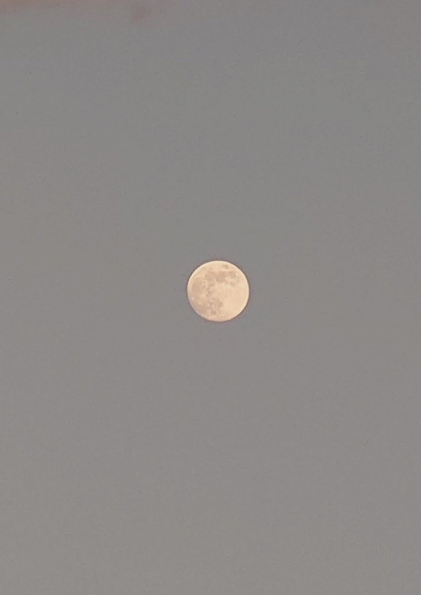 jLsEFBBJl071803's tweet photo. 月を待つ
高嶺の雲は
晴れにけり
心あるべき
初時雨かな
西行法師
1画像
映画"After All This Time": Lestat Meets Marius Again | Queen of the Damned
#StuartTownsend
様生誕日
https://t.co/pRVDMZZWW7 @YouTube
皆様ご機嫌良う🍀
本日も良き日のお迎えを❄️ https://t.co/Ohkd8fA3Ig