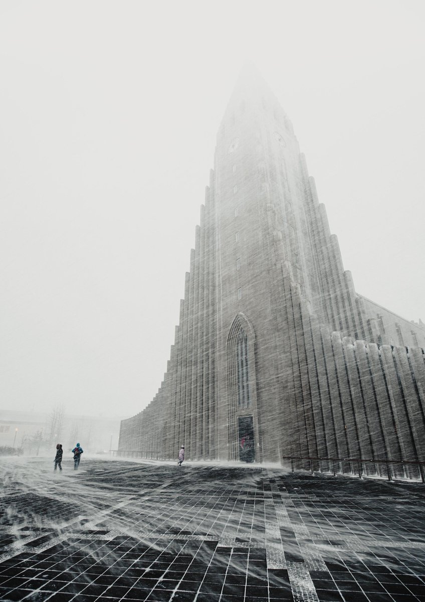 World Scholar tweet media