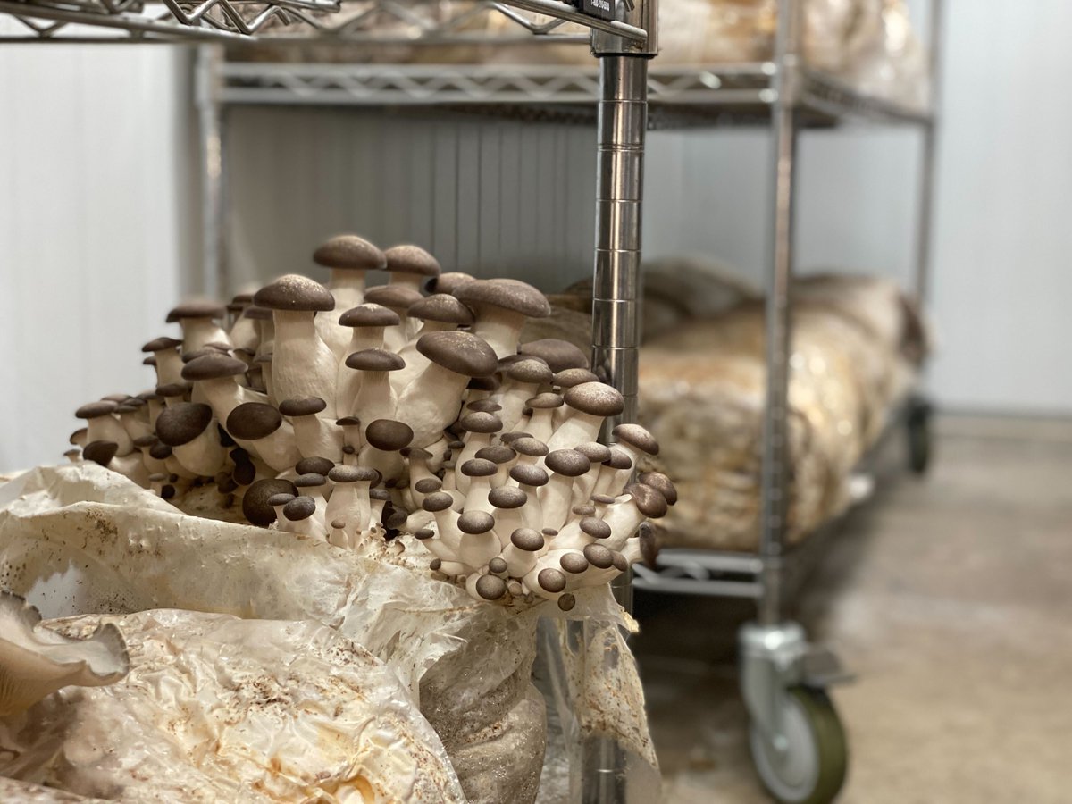 Ground Education tweet media