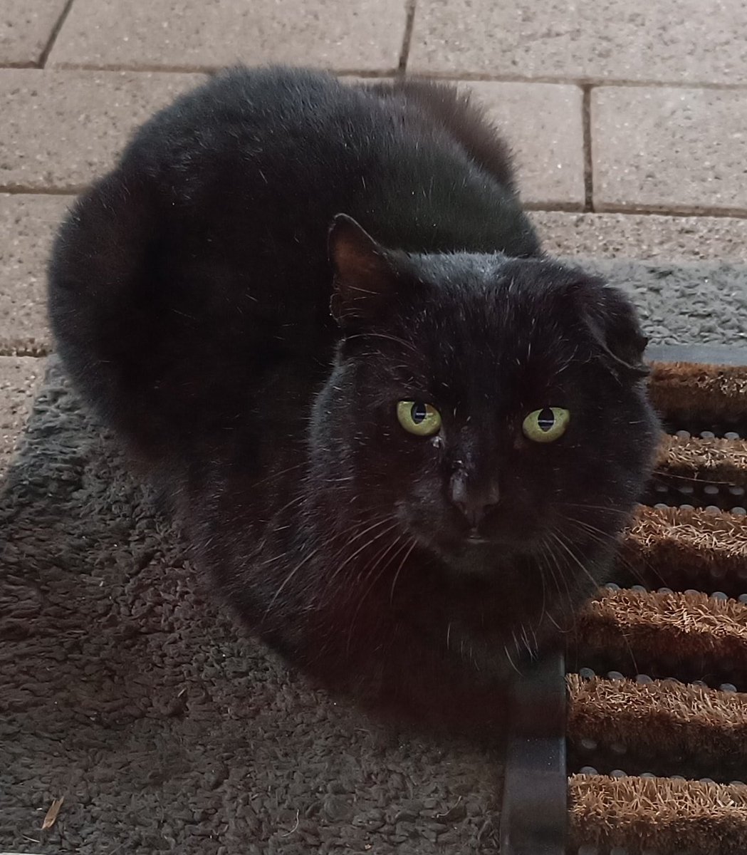 Katinka Palinka tweet media