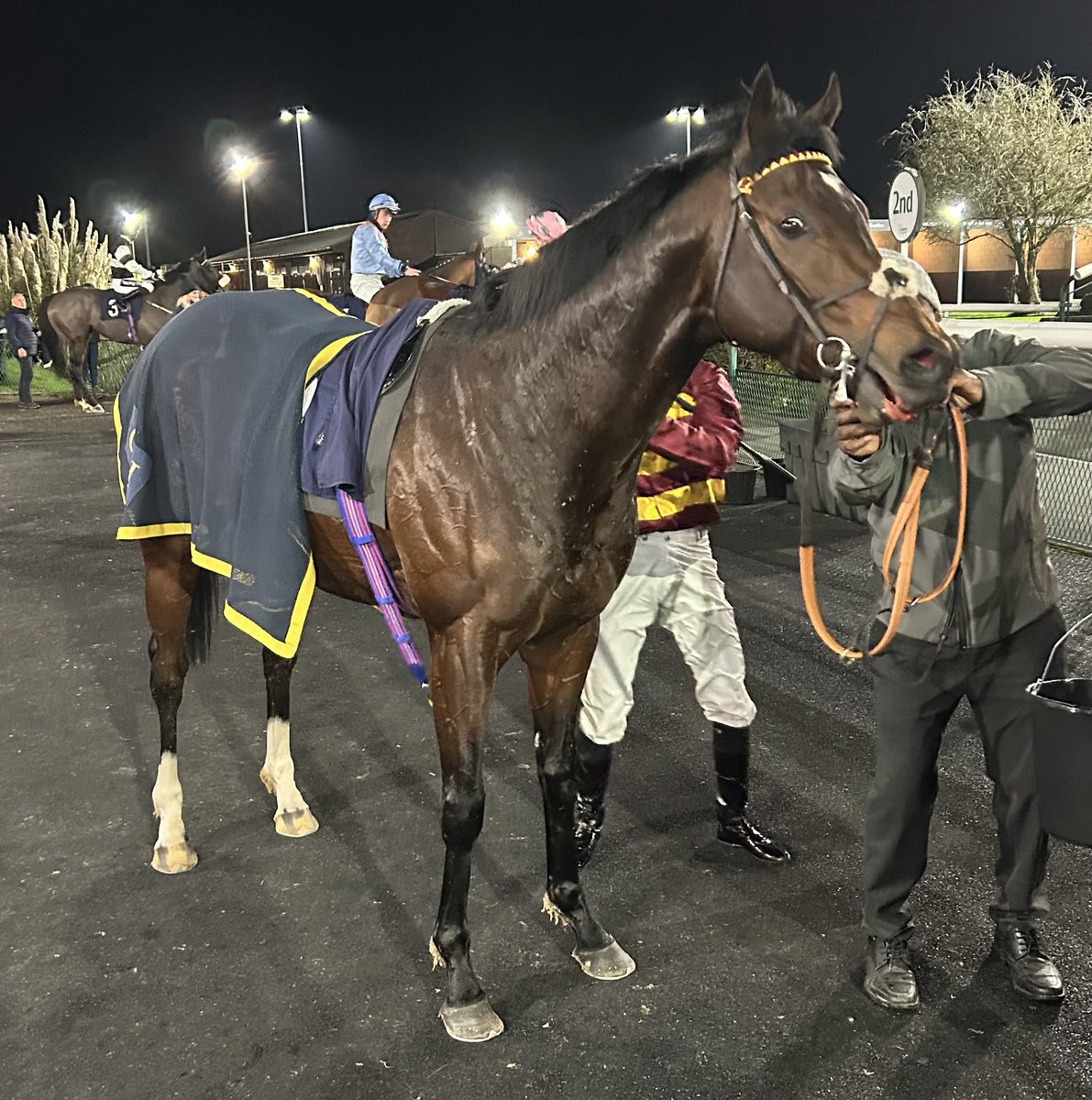 Simon Mapletoft (@simonmapletoft) on Twitter photo 2023 Champagne Stakes winner Iberian is back in business after winning the 6f conditions race <a href="/Southwell_Races/">Southwell Racecourse</a> for Charles Hills & Jason Watson and may now head to Saudi Arabia in Feb. <a href="/AtTheRaces/">At The Races</a> <a href="/SkySportsRacing/">Sky Sports Racing</a> ⭐️🏇🏇 2023 Champagne Stakes winner Iberian is back in business after winning the 6f conditions race <a href="/Southwell_Races/">Southwell Racecourse</a> for Charles Hills & Jason Watson and may now head to Saudi Arabia in Feb. <a href="/AtTheRaces/">At The Races</a> <a href="/SkySportsRacing/">Sky Sports Racing</a> ⭐️🏇🏇