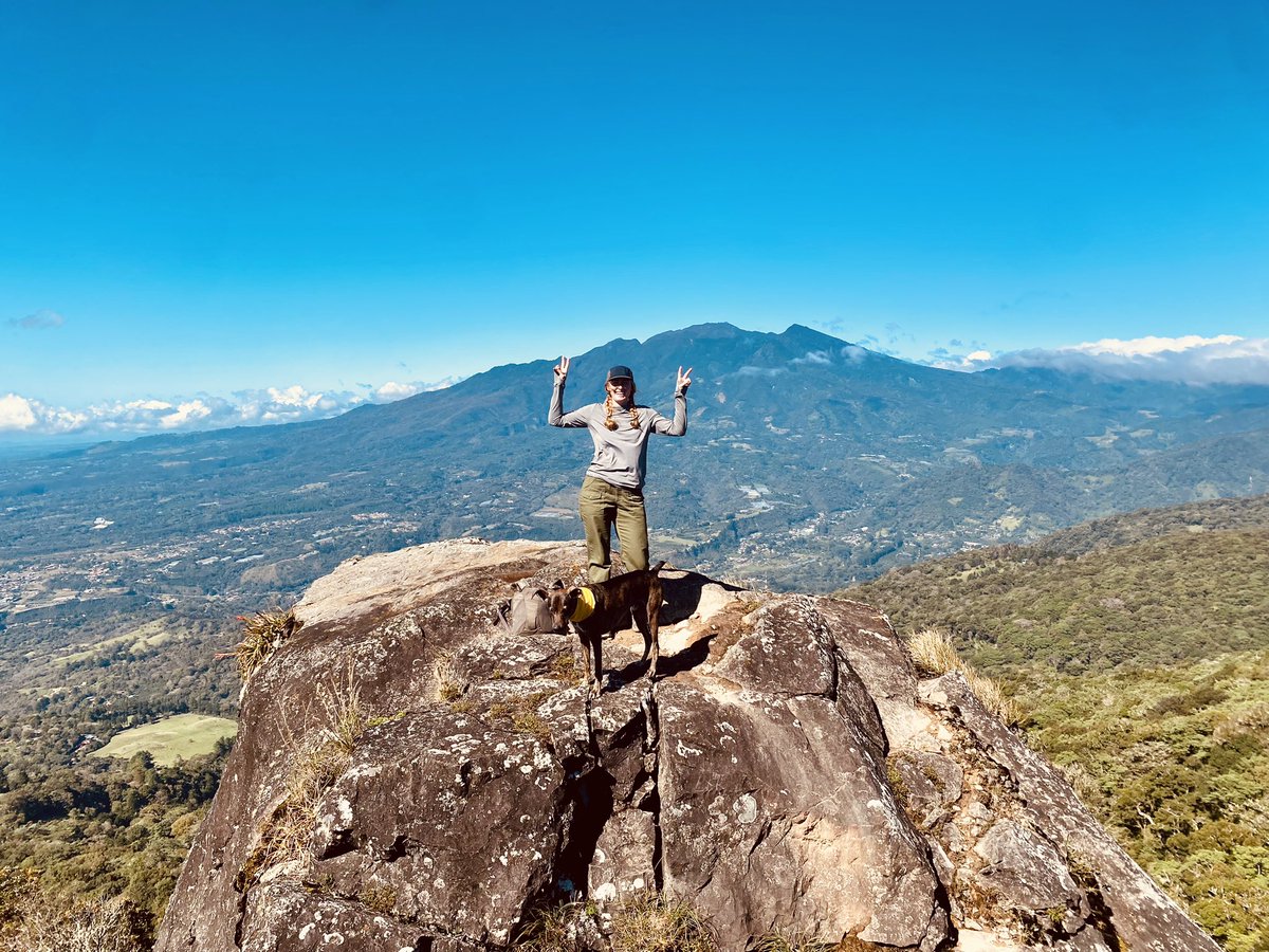 kara 🍓 tweet media