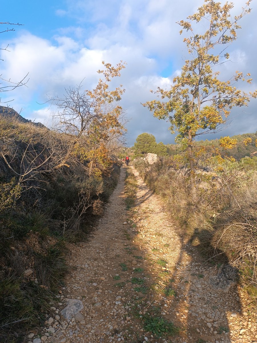 AEC_Reus's tweet image. Repte aconseguit!!! 35km de Reus a Albarca.
Demà pujarem amb la resta de la colla i per 62ª vegada, el Pessebre de l'@AEC_Reus d'Albarca fins al cim del Montsant. La Roca Corbatera, 1.163m. 
100 CIMS ESSENCIAL @FEEC_cat #AECReus #Pessebre #excursio #ViscaCatalunya