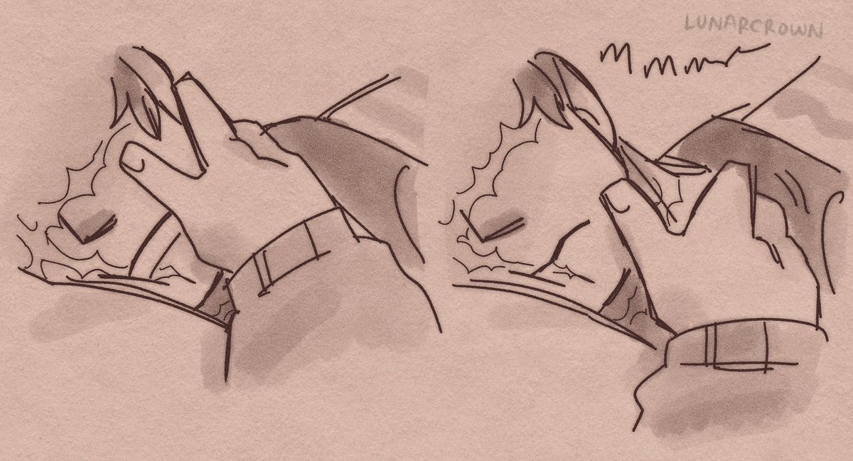 lunarcrownn's tweet image. 1/2 Grian can’t sleep well because of the nightmares of him resurrecting Scar
{{ #scarian #trafficshipping }}