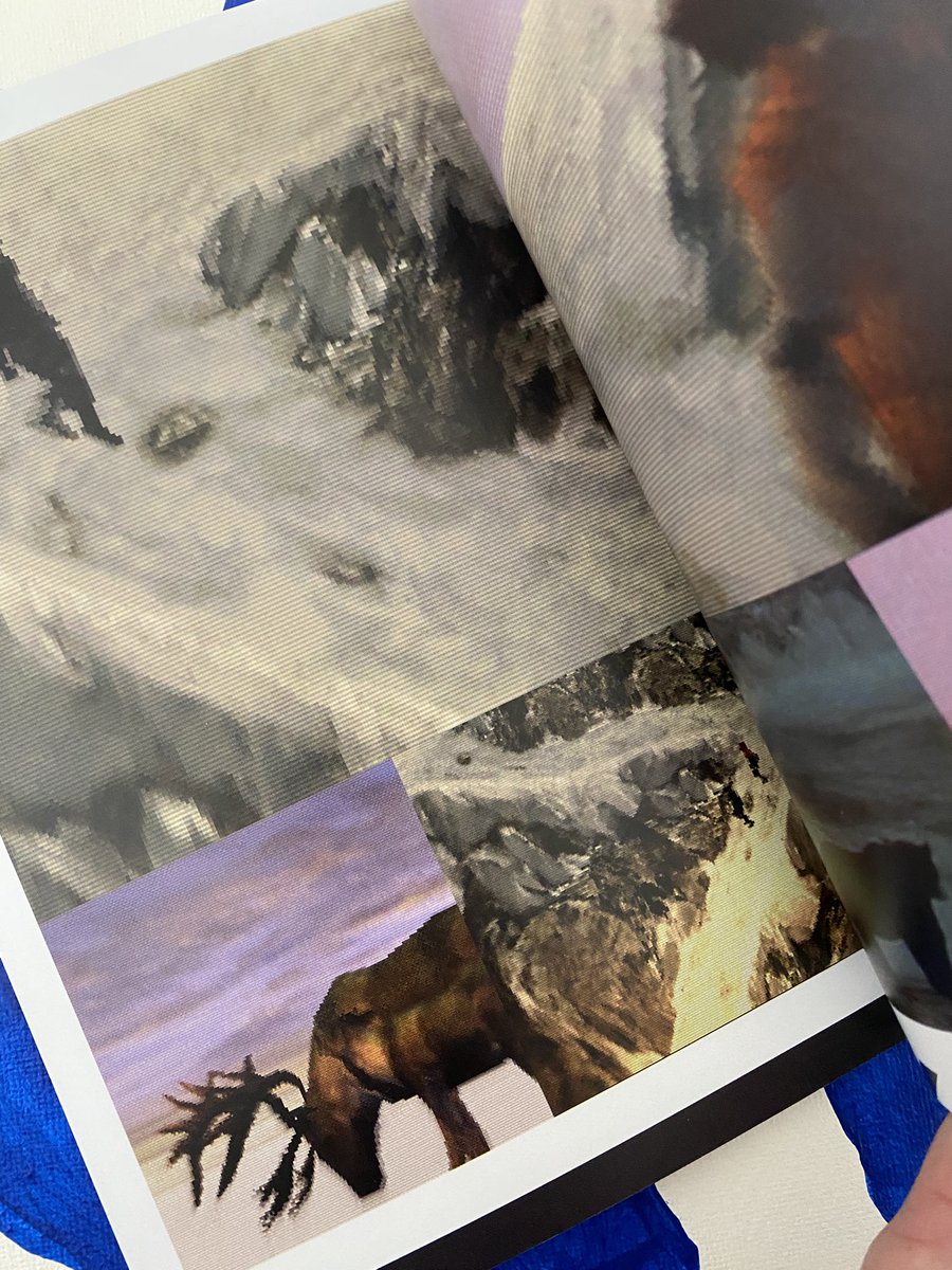 devils blush tweet media