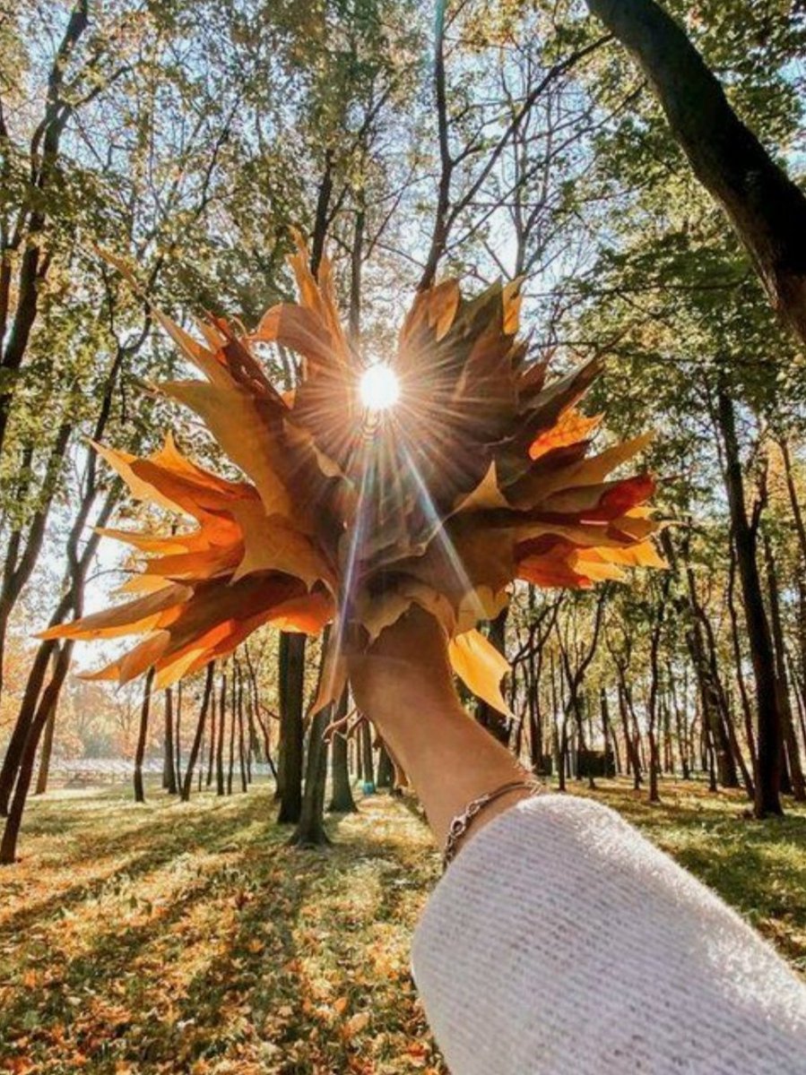 Yaşama sevincinin yaşı yoktur
Hayatınızın renklerini
Kimsenin avuçlarına
Bırakmayın