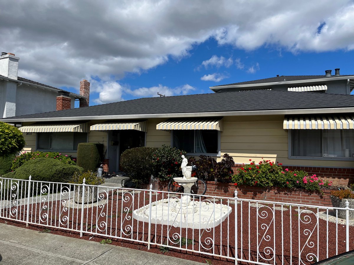 Michael Shields tweet media