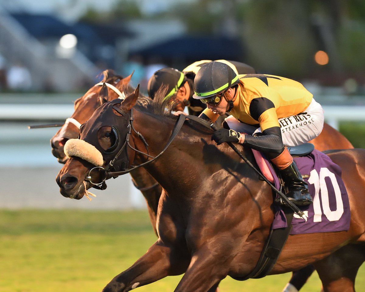 Gulfstream Park tweet media