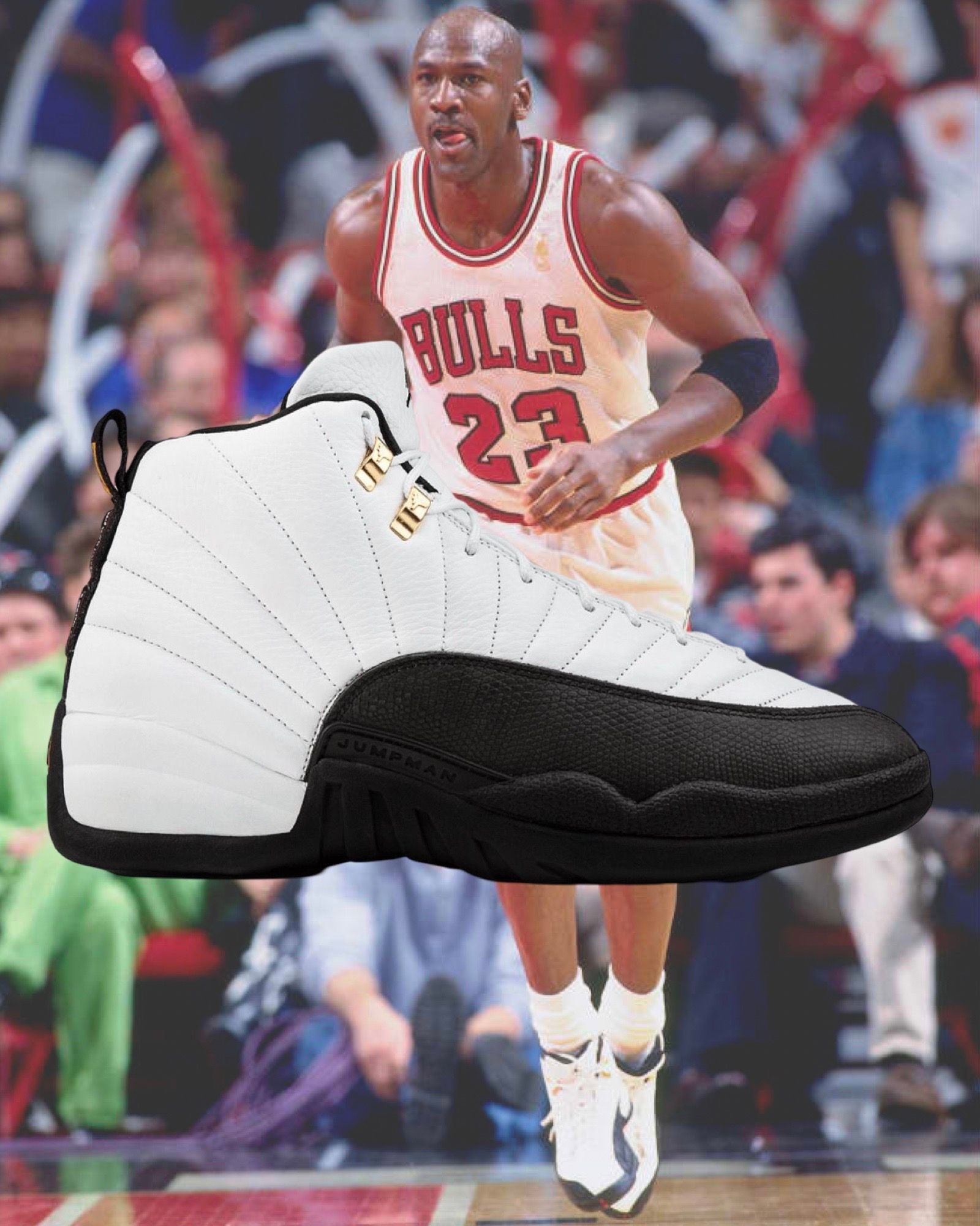 Jordan 12 bulls on feet sales