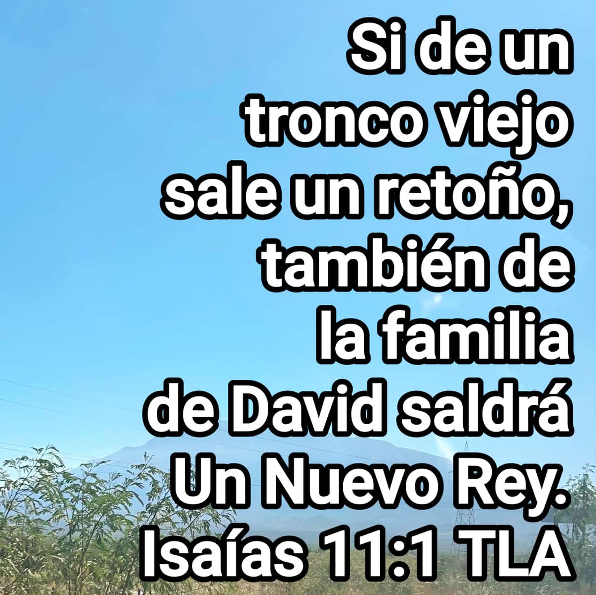 UNAMIGO87327870's tweet image. #JESUCRISTOReyEterno #DIOSEsBueno #UnVersiculoParaBendecirte #Biblia #Isaás #LibrodeIsaías
»Si de un tronco viejo sale un retoño, también de la familia de David saldrá Un Nuevo Rey.
Isaías 11:1 TLA