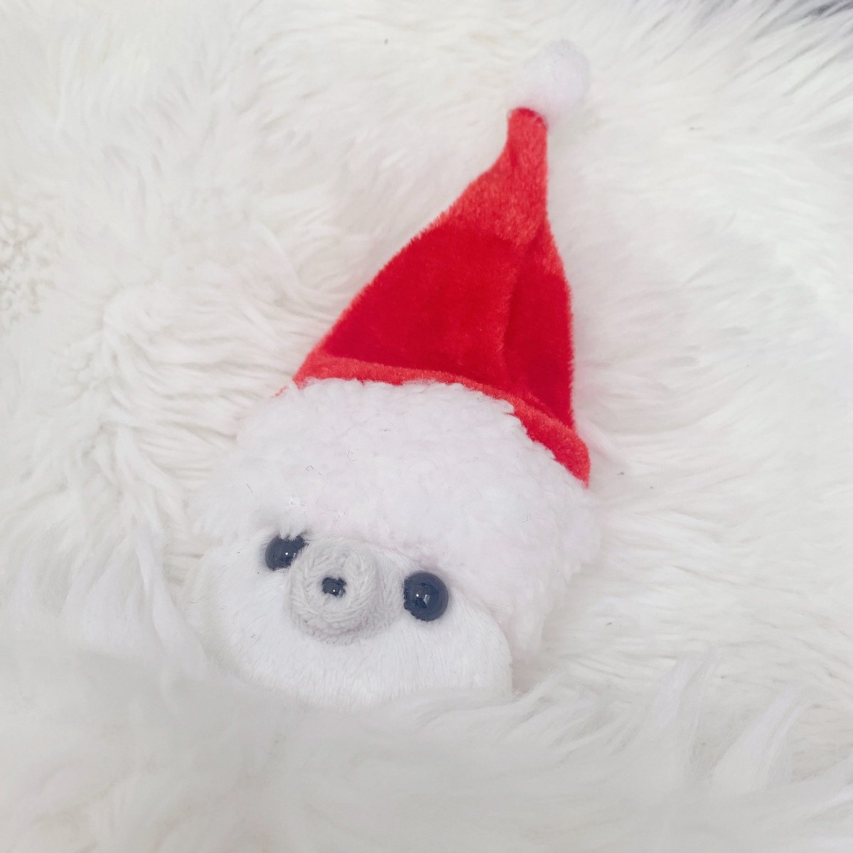 うちの寝坊助サンタさん…

サンタ帽をナイトキャップだと勘違いしていらっしゃるみたい