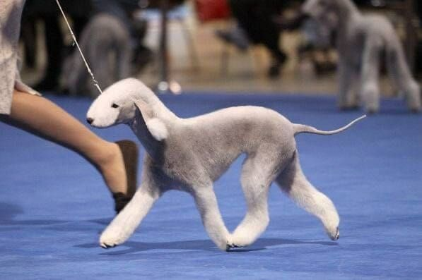 bintcrubbs's tweet image. 