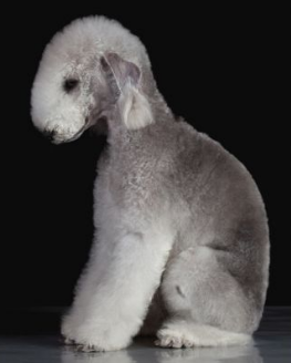 bintcrubbs's tweet image. 