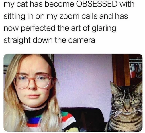 WholesomeMemes tweet media
