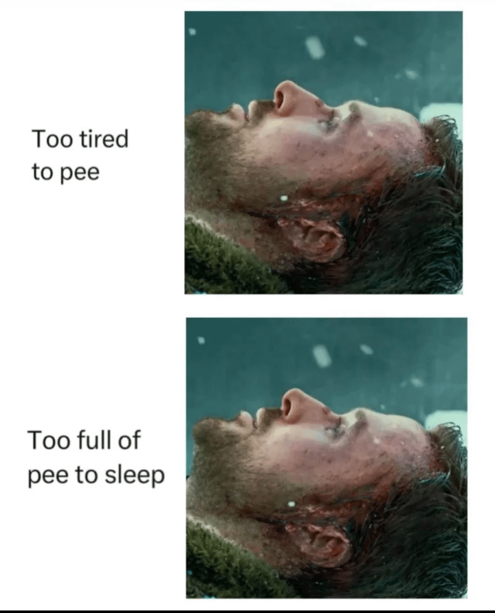 nocontextmemes's tweet photo. https://t.co/QewS1YG5iV