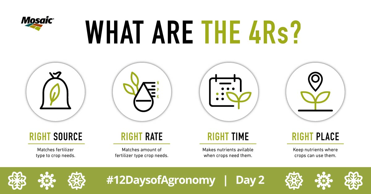 Crop_Nutrition's tweet image. Better #NutrientManagement starts with four things — the right fertilizer source, the right rate, the right time, in the right place.  

Learn how the #4RsofNutrientStewardship help optimize crop growth, boost efficiency and protect the environment. 

#12DaysofAgronomy