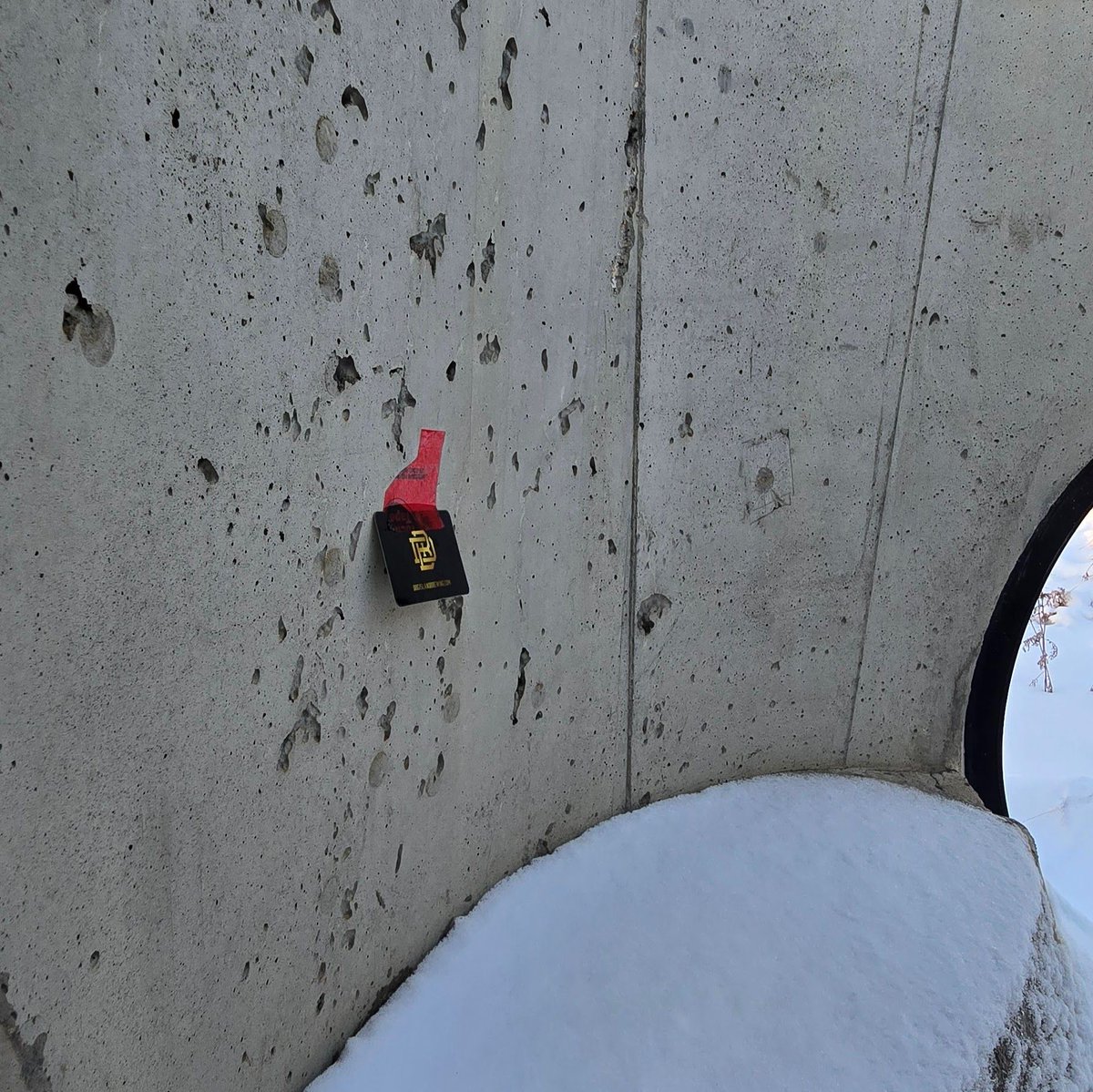 🎶 On the third day of Christmas, Dog Island gave to me..🎠 
A place we used to frequent ALOT, but thank the lord we never have to go here again...
#christmas #giftcards #contest #albertabeer #alberta #slavelake #winter