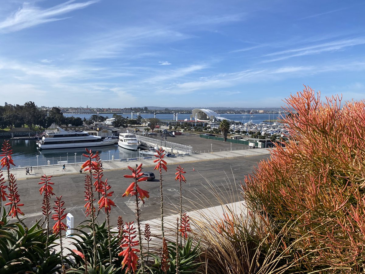 Cory Simpson, MD, PhD, FAAD (he/him) (@corysimpsonmd) on Twitter photo Excited to be representing <a href="/SimpsonLabUW/">Simpson Lab @UWMedicine</a> in sunny 😎 San Diego 🌴 for #ASCB2024 #CellBio2024 <a href="/ASCBiology/">American Society for Cell Biology</a> Excited to be representing <a href="/SimpsonLabUW/">Simpson Lab @UWMedicine</a> in sunny 😎 San Diego 🌴 for #ASCB2024 #CellBio2024 <a href="/ASCBiology/">American Society for Cell Biology</a>