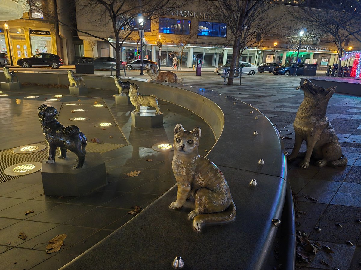 KaslkaosArt's tweet photo. 🦴All worship the great bone, you too can rise to be at the pyramids pinnacle, attainable, or is success as elusive as the moon, the cat knows. 🌙🌕🌚#torontoatnight #toronto #nightphotography https://t.co/Rzjc93lCEb