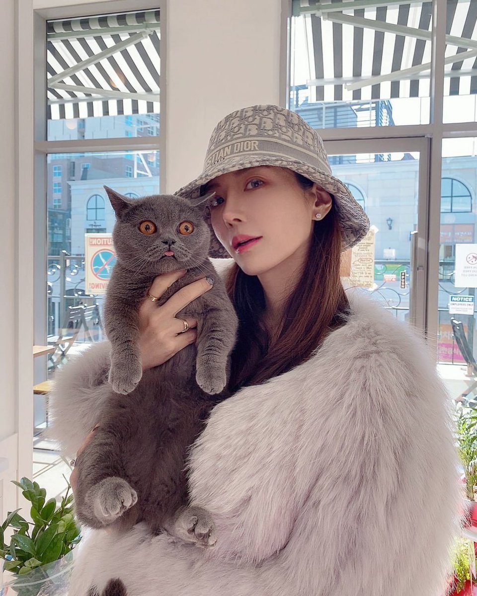 𝐸𝑜p𝑒m🧚🎀 (@ender17851) on Twitter photo 